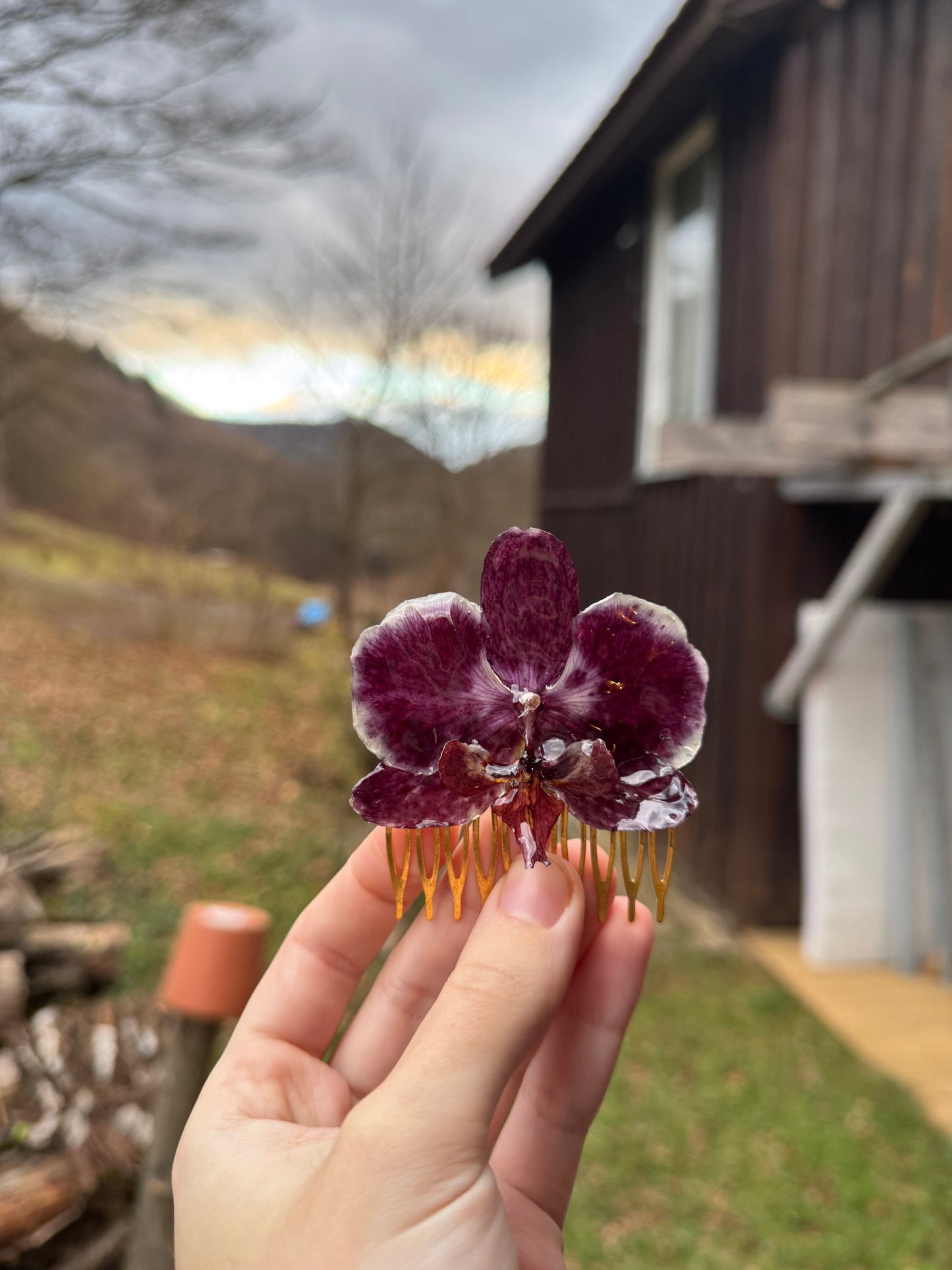 Real orchid hair comb