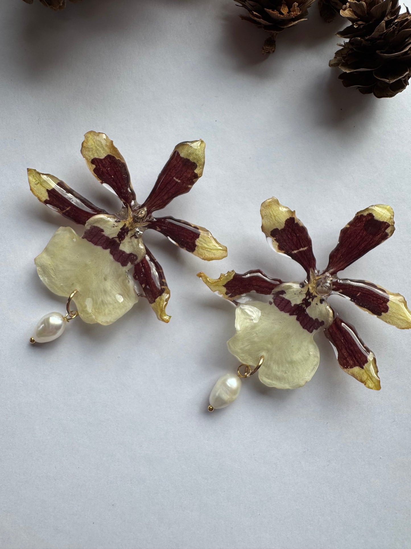 Real orchid stud earrings