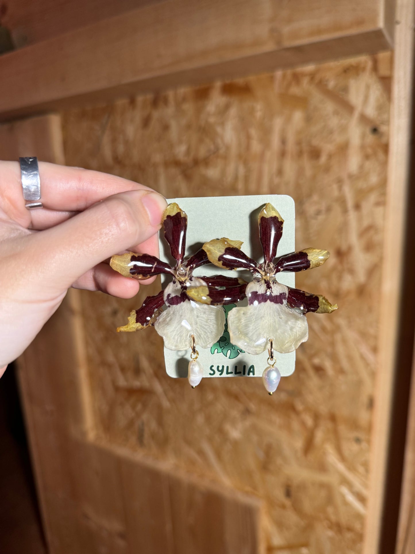 Real orchid stud earrings