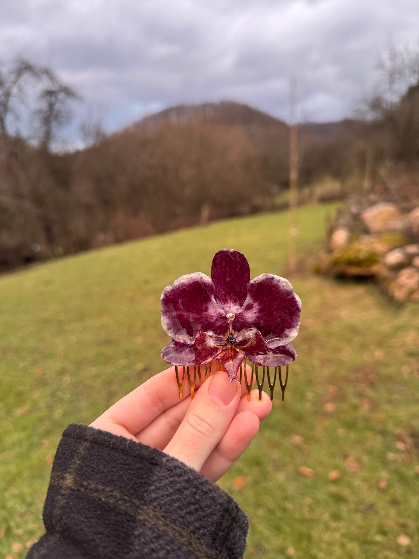 Real orchid hair comb