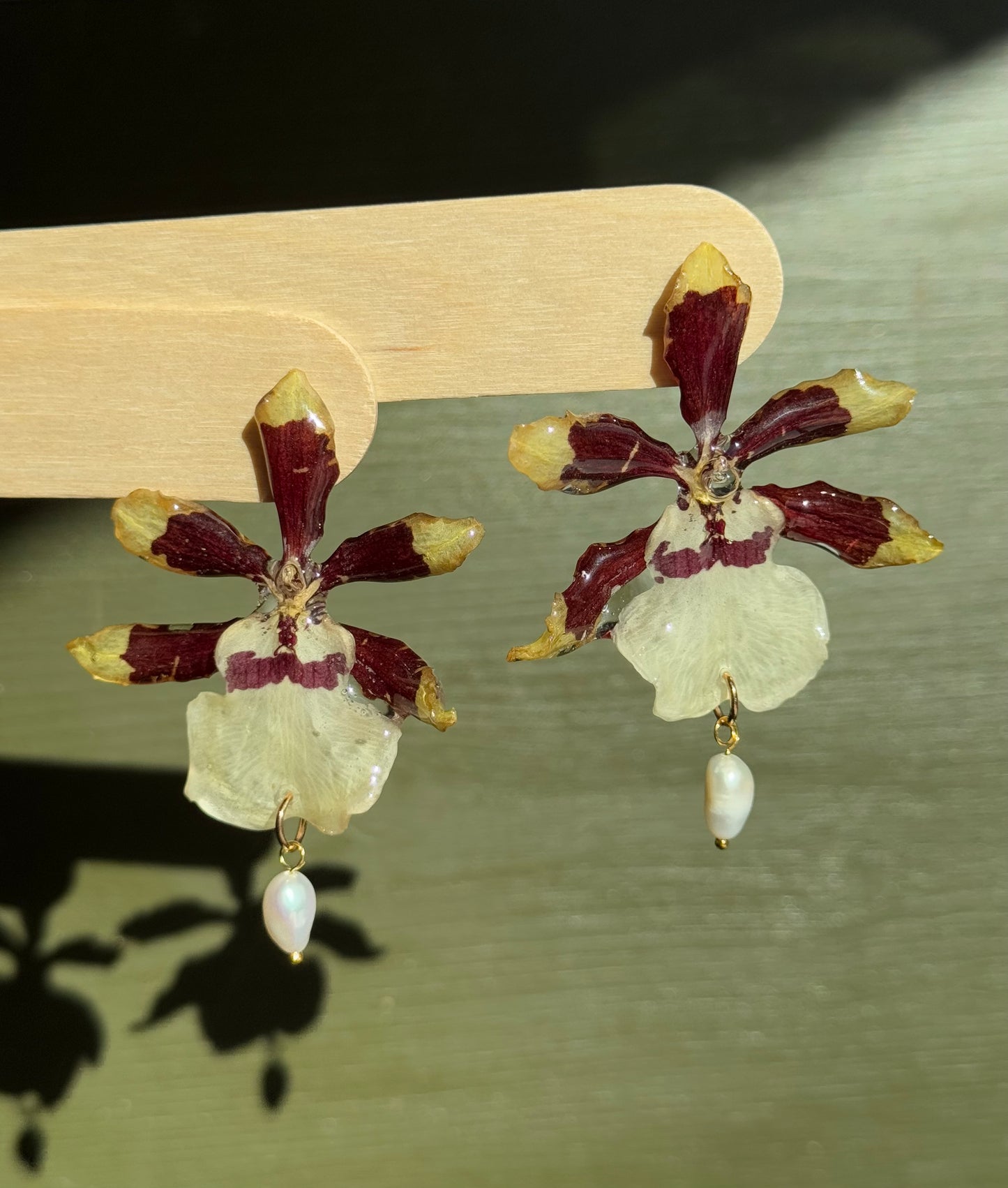 Real orchid stud earrings