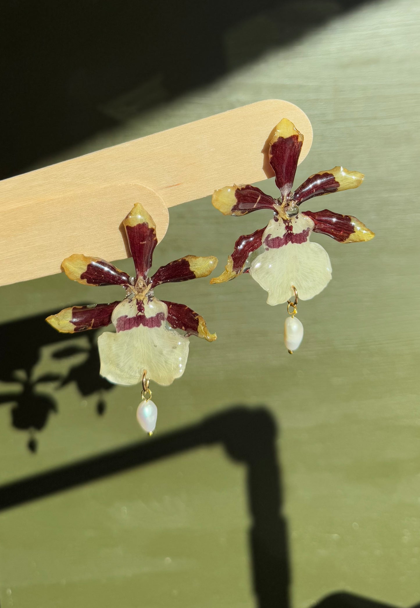 Real orchid stud earrings