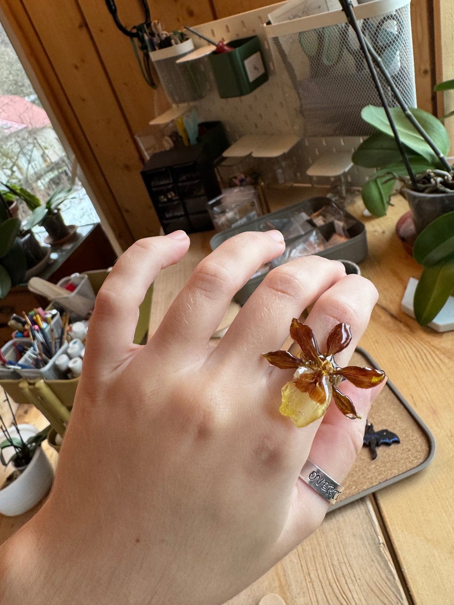 Real orchid ring Brown flower petal