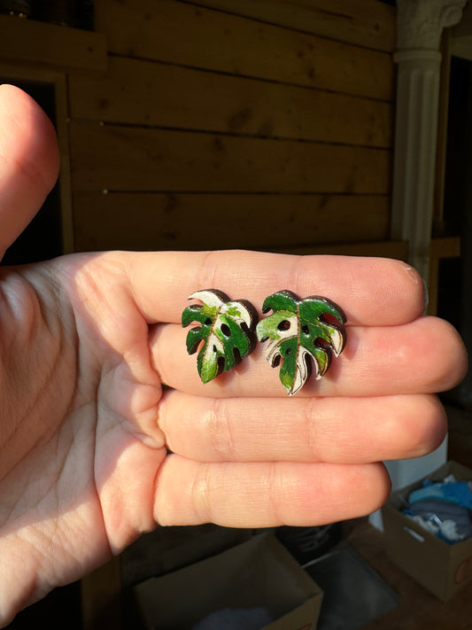 Monstera albo stud earrings Minimalist posts Wooden jewellery Lasercut design Botanical jewelry Green houseplant Handmade christmas gift