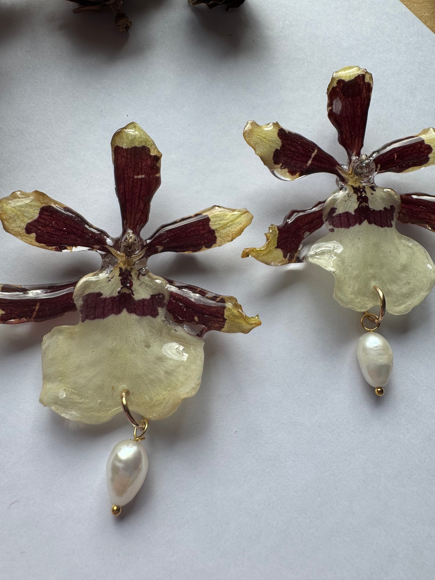 Real orchid stud earrings