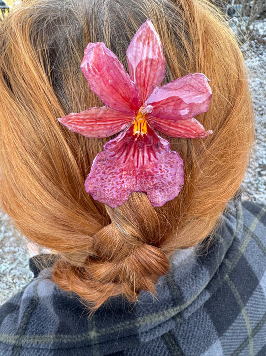 Miltonia orchid hairpin