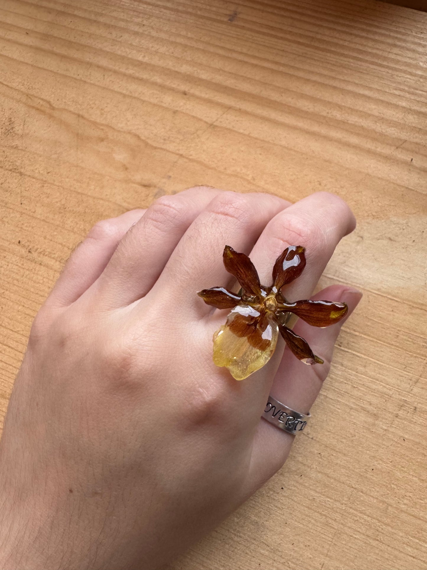 Real orchid ring Brown flower petal